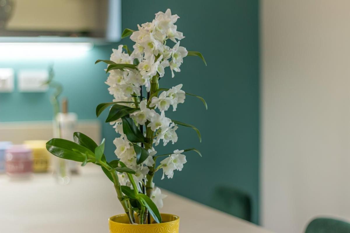 Appartement Ampio In Corte Con Doppio Parcheggio Privato Bologna