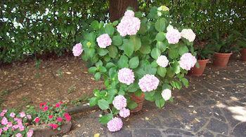 Bed & Breakfast Sant' Eurosia Bologna