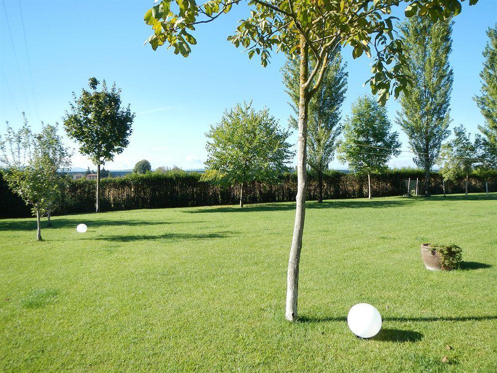 Via Punta 8 Bed & Breakfast Bologna