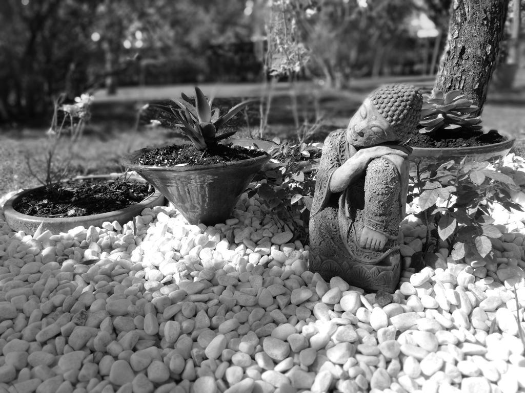 Bed & Breakfast Via Punta 8 *