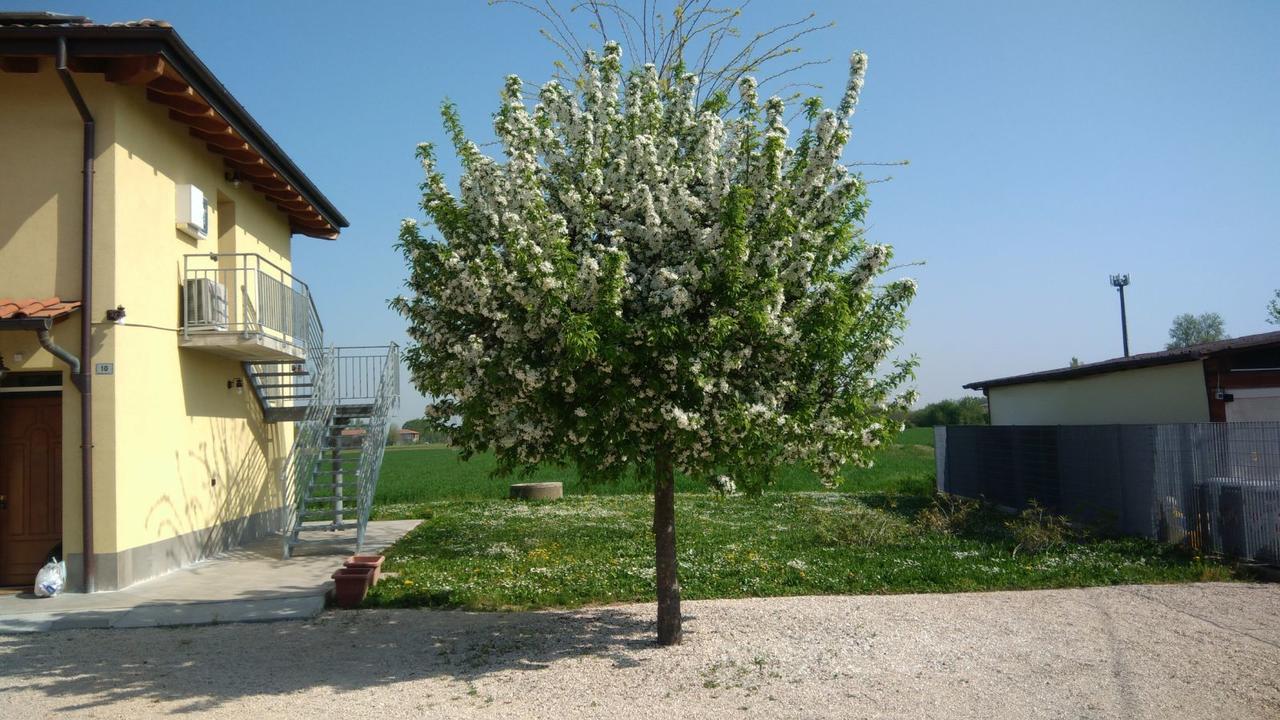 Bed & Breakfast Sant' Eurosia Bed & Breakfast Bologna