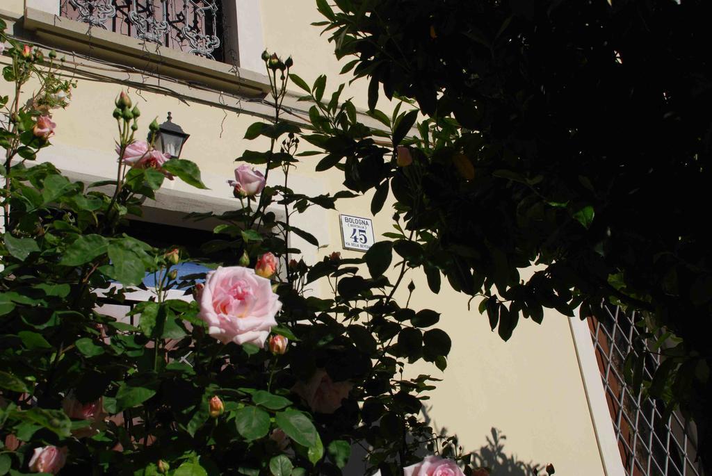 Bed & Breakfast Beverara