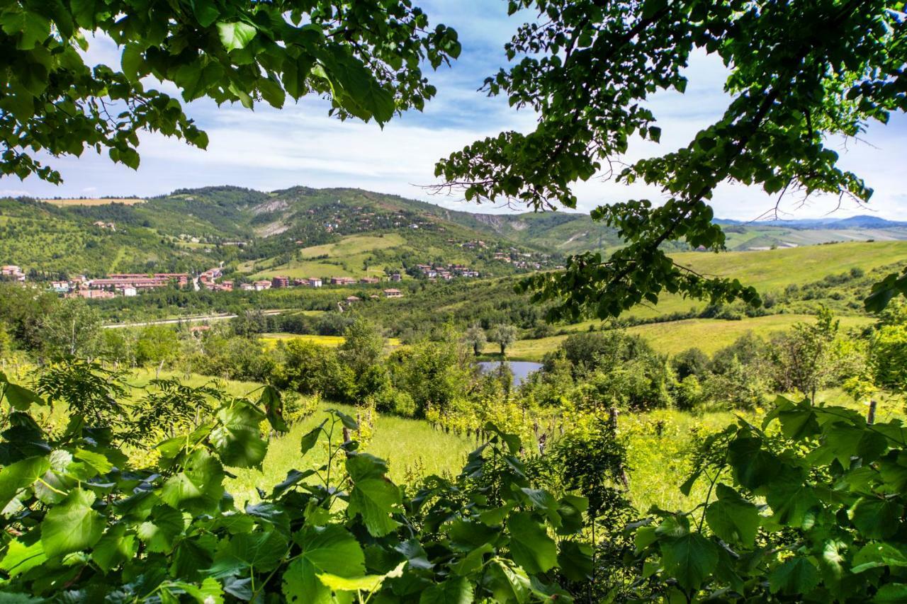 Appartamento Castel Arienti Halldis Bologna