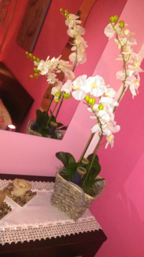 Bed & Breakfast San Vitale