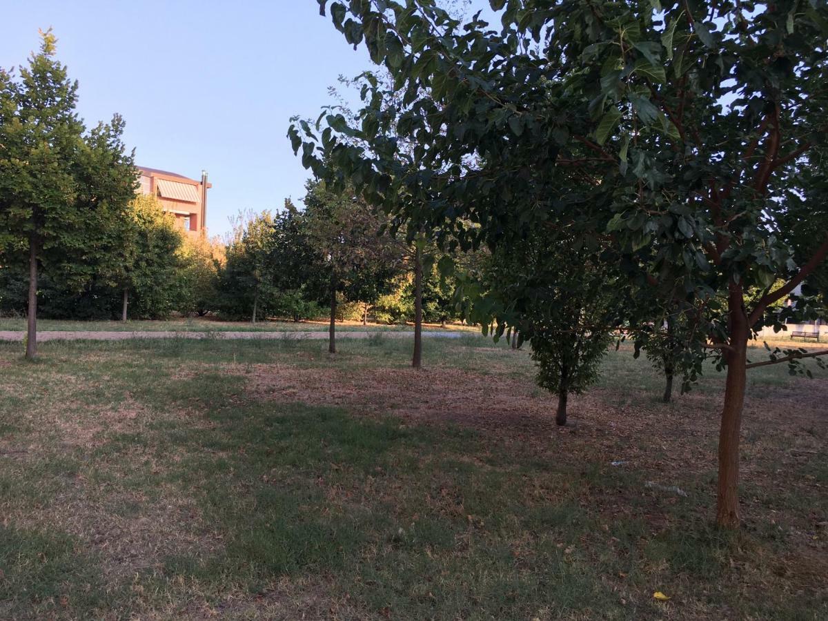 Dossetti 3 Appartamento Bologna