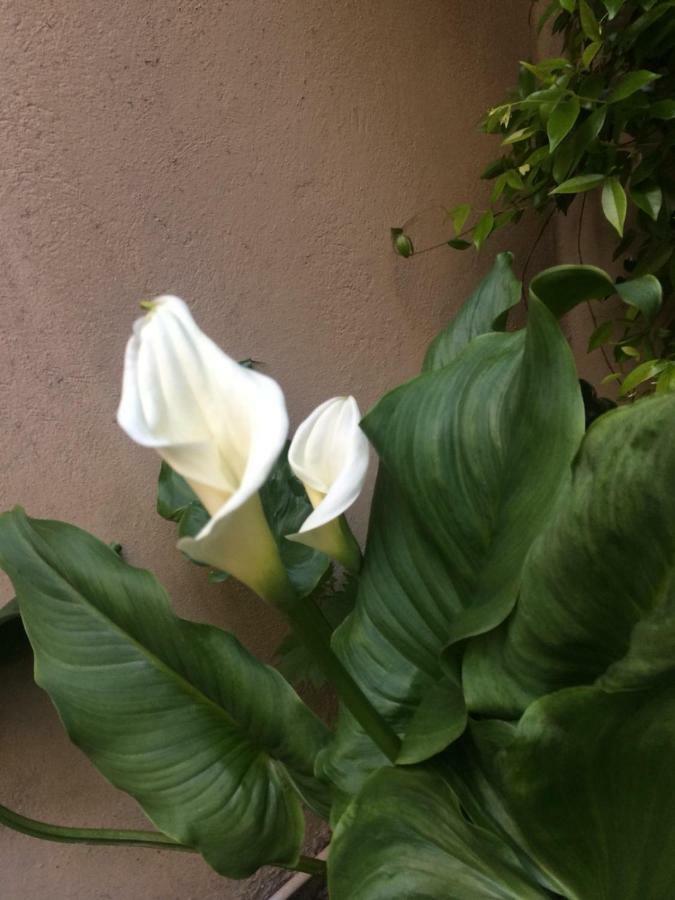 Apartment Giardino Segreto - History And Design Bologna