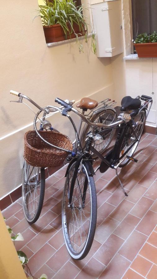 Giardino Segreto - History And Design Bologna