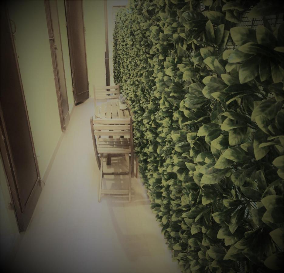 Sofihome *