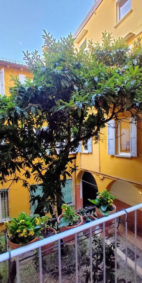 Mars41 Guest house 2*