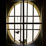 4 Patroni B&B