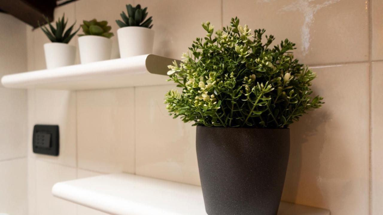 Apartment Italianway - Piella 5 *