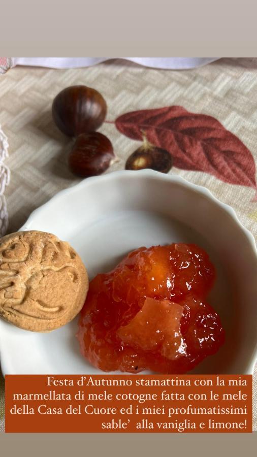 Bed & Breakfast Castiglione 27 Luxury Bologna