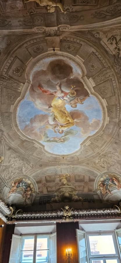 Belle Arti 42