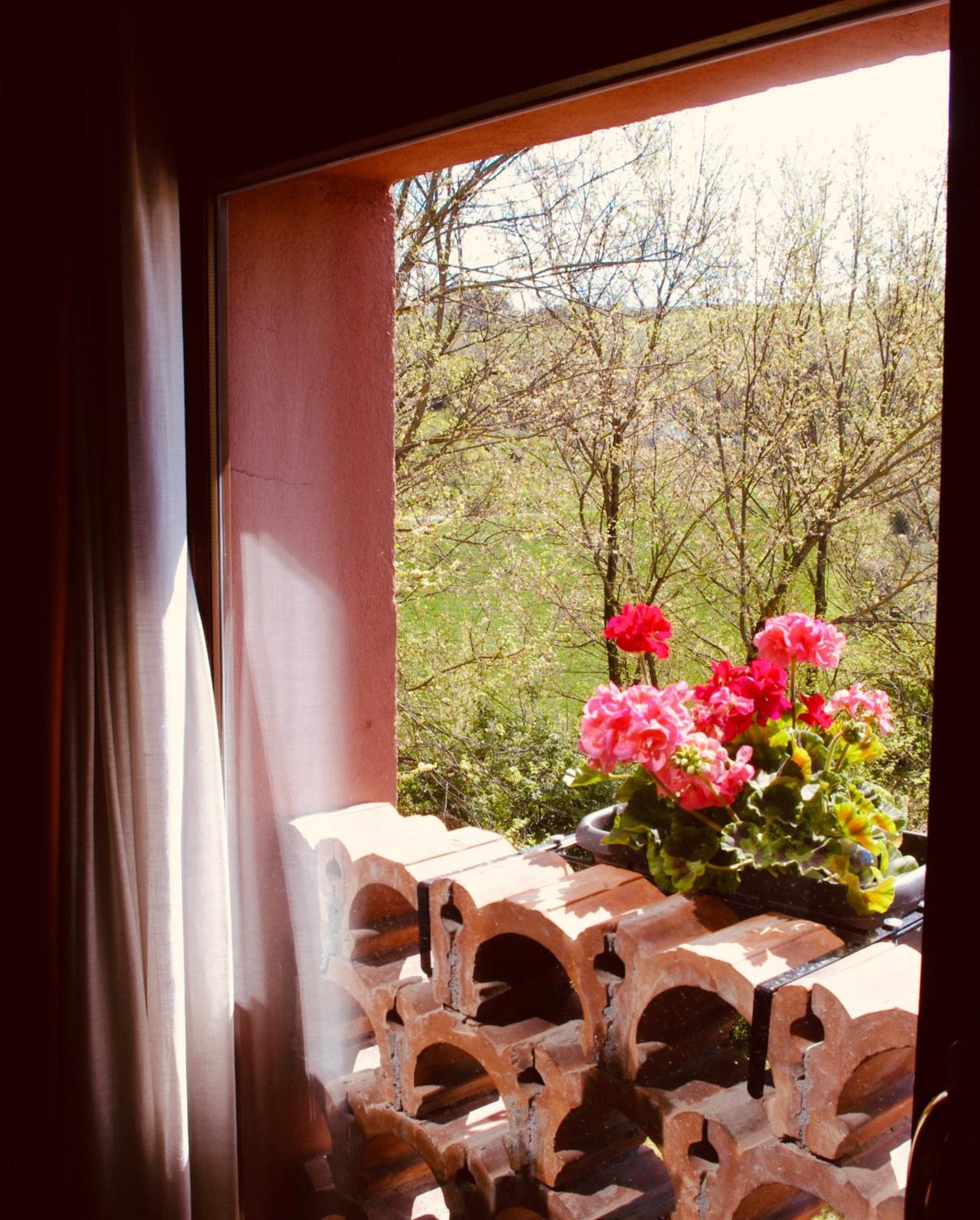 Bed & Breakfast Podere Boschetto R&b