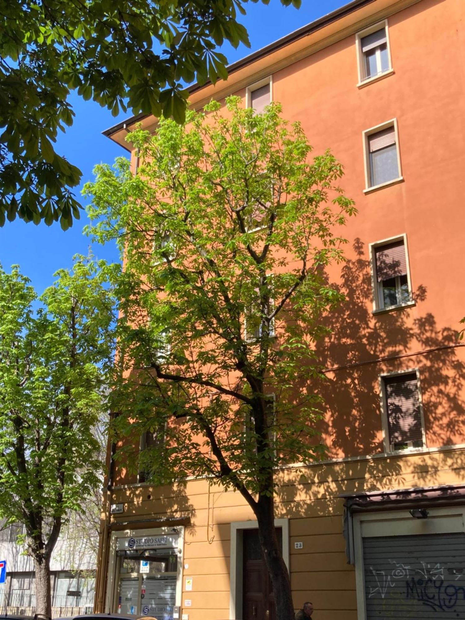 Casatimavo23 Bologna