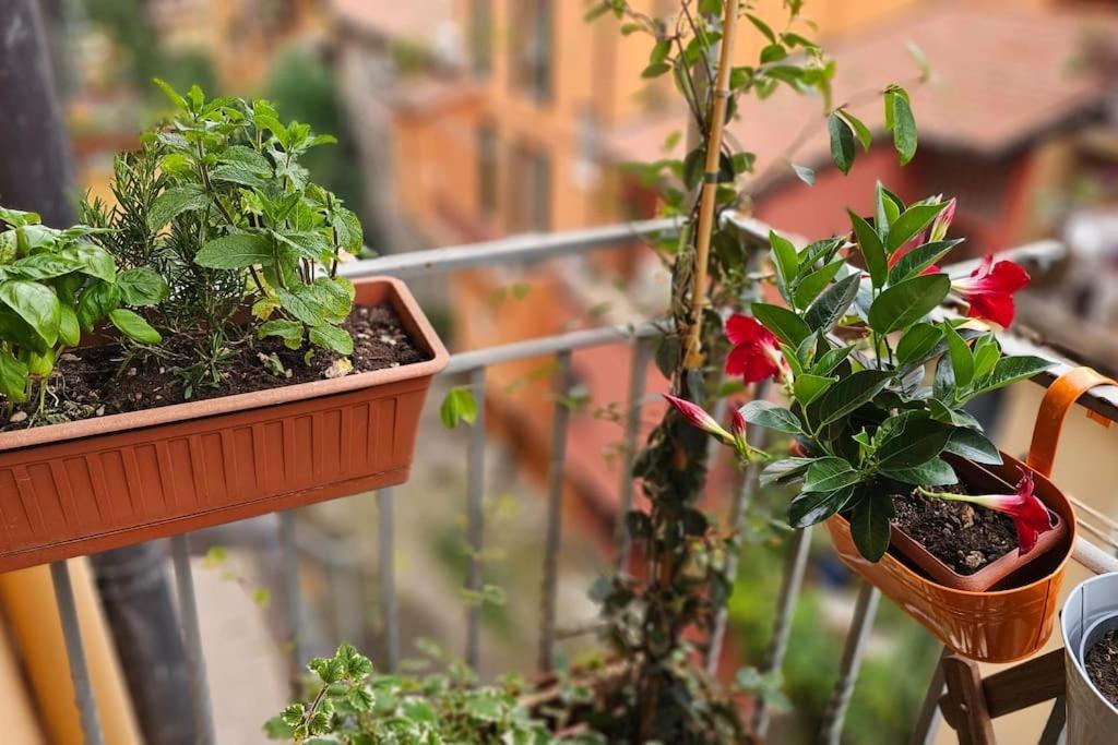 Appartamento In Centro Con Vista Sul Canale *