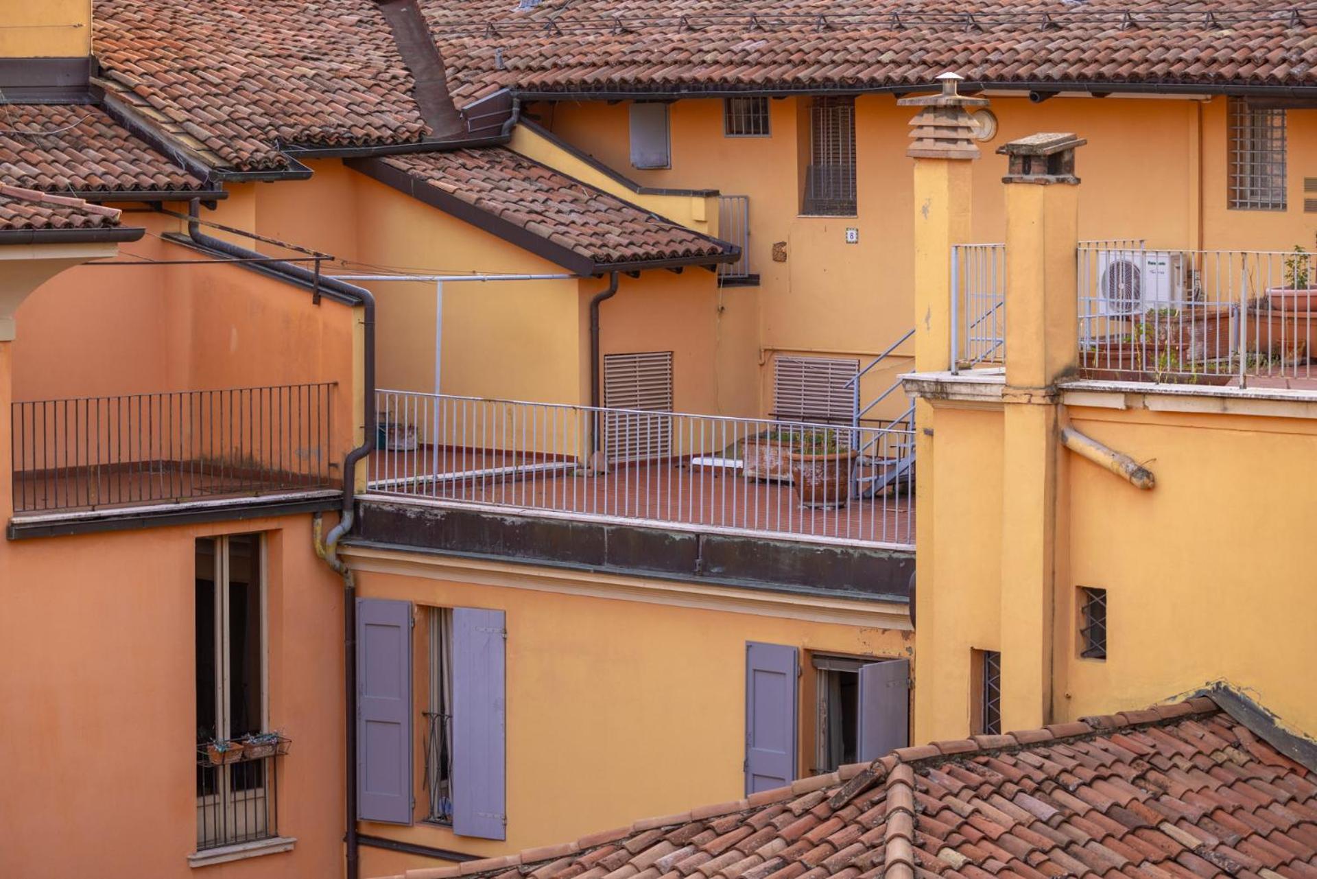 Le Dell'edera *