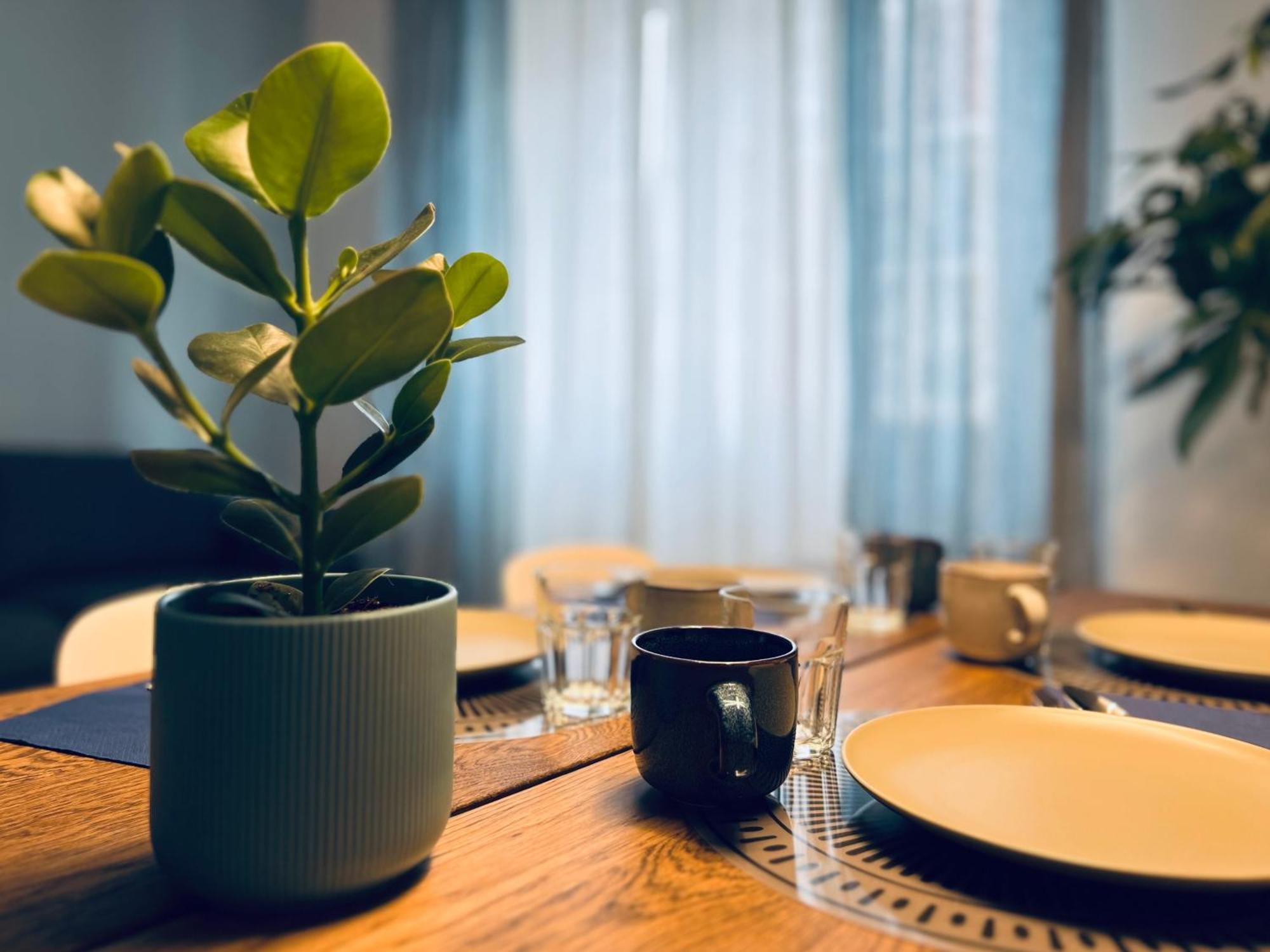 Apartment My Center *
