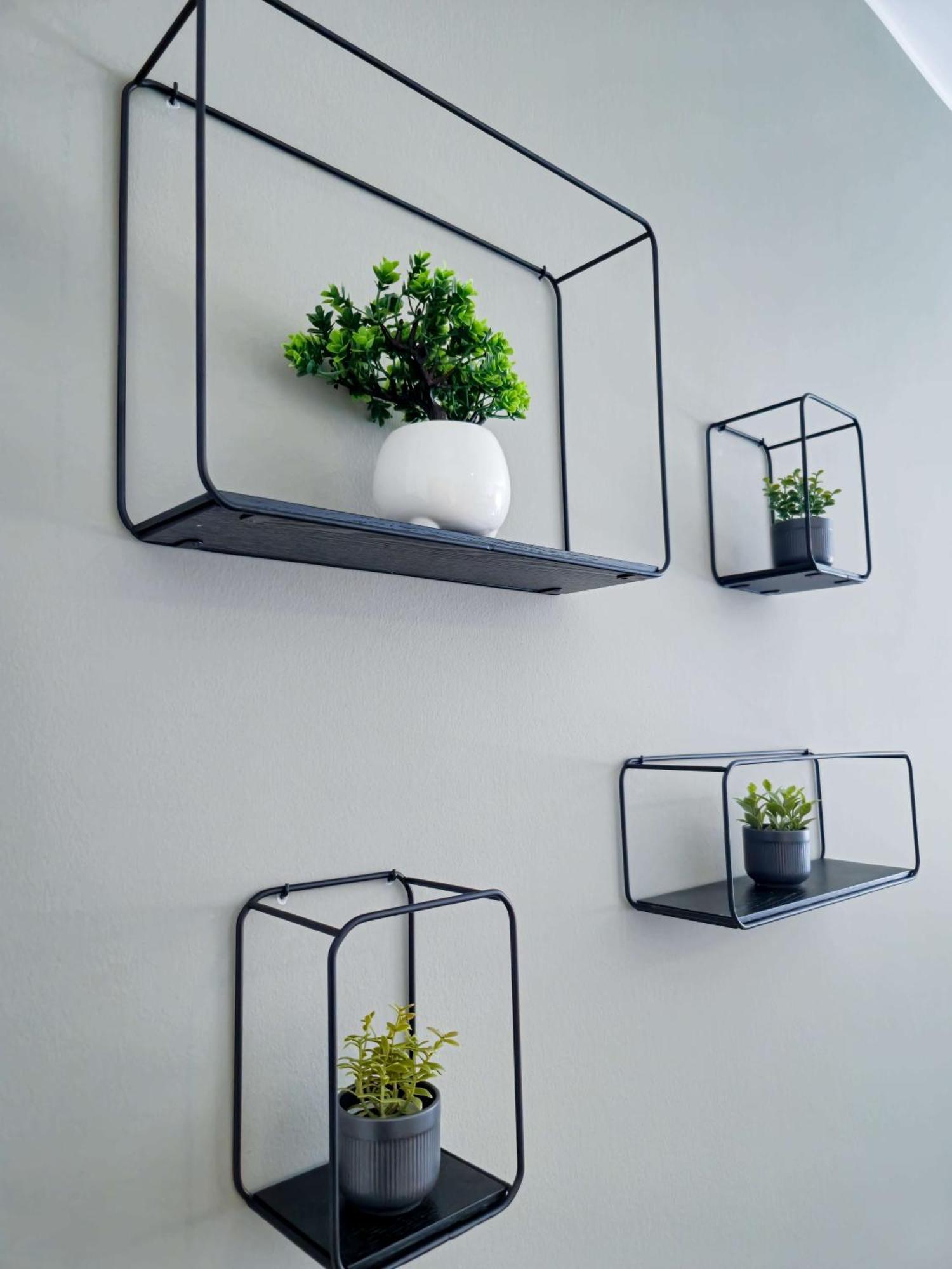 Apartment Morgagni Bologna