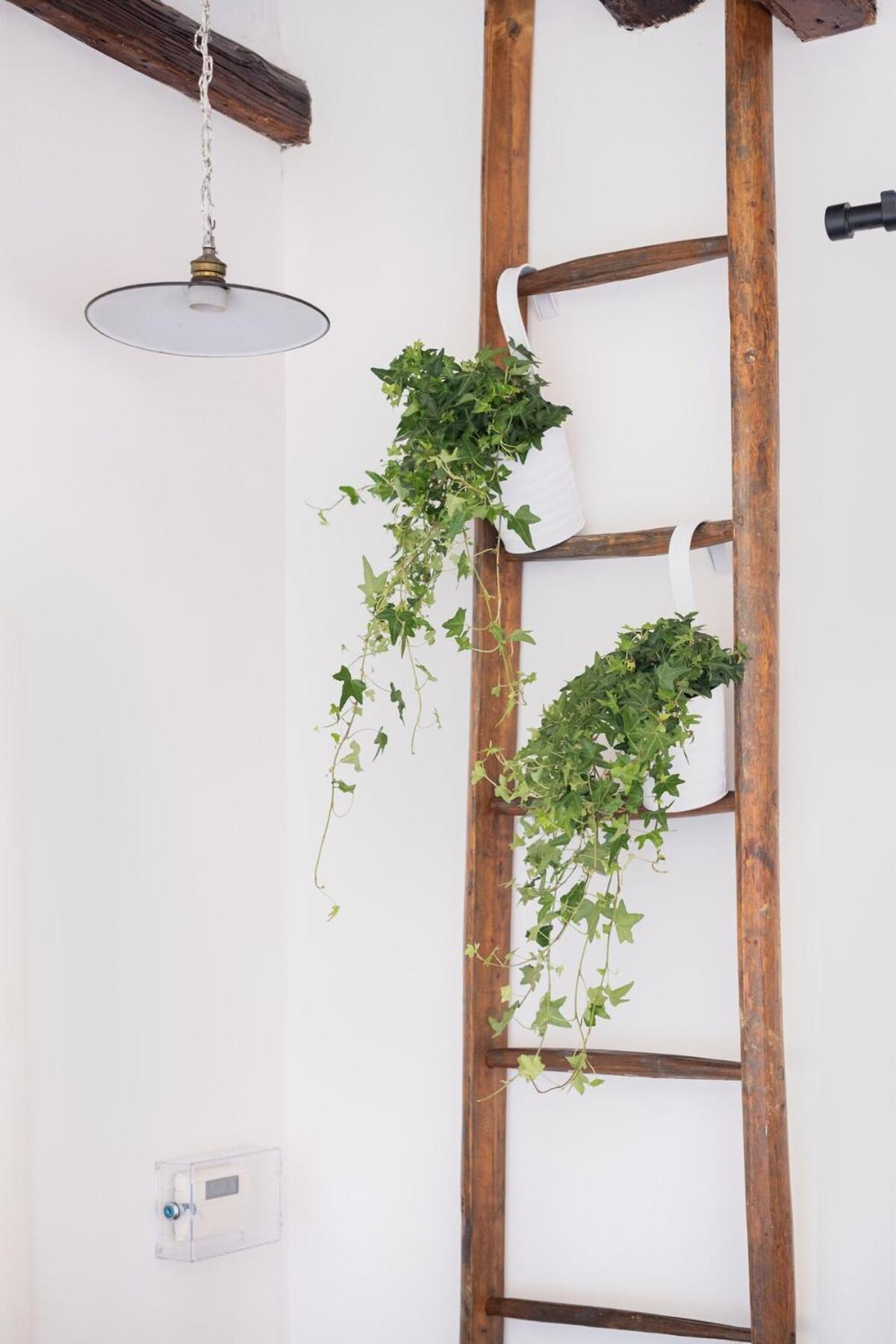 Belvedere Cozy Apartamento *
