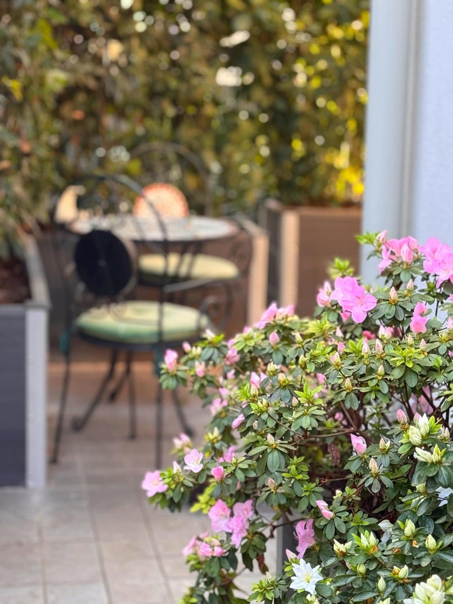 Homestay Privata Con Terrazza *