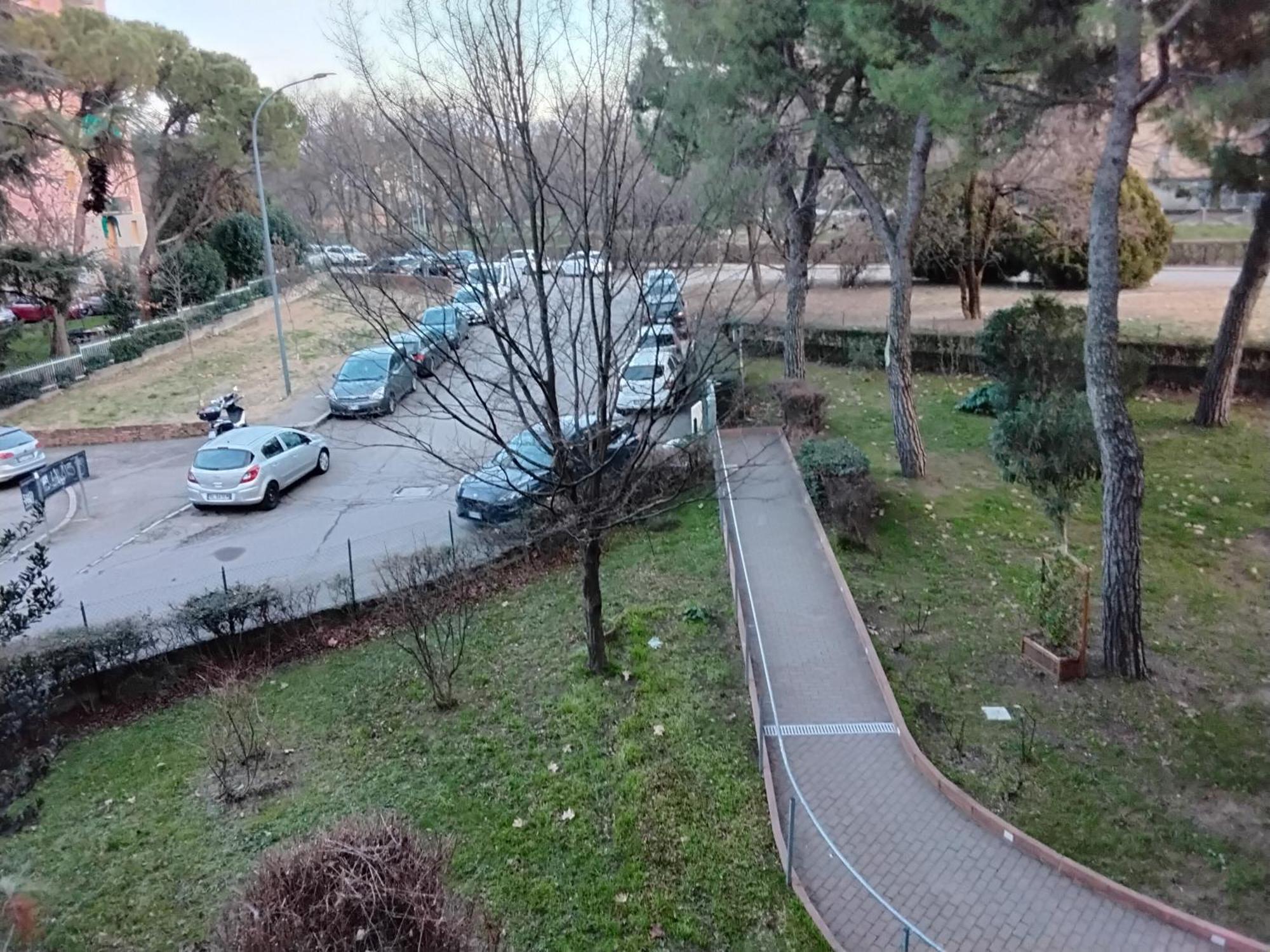 Stadio Free Bike
