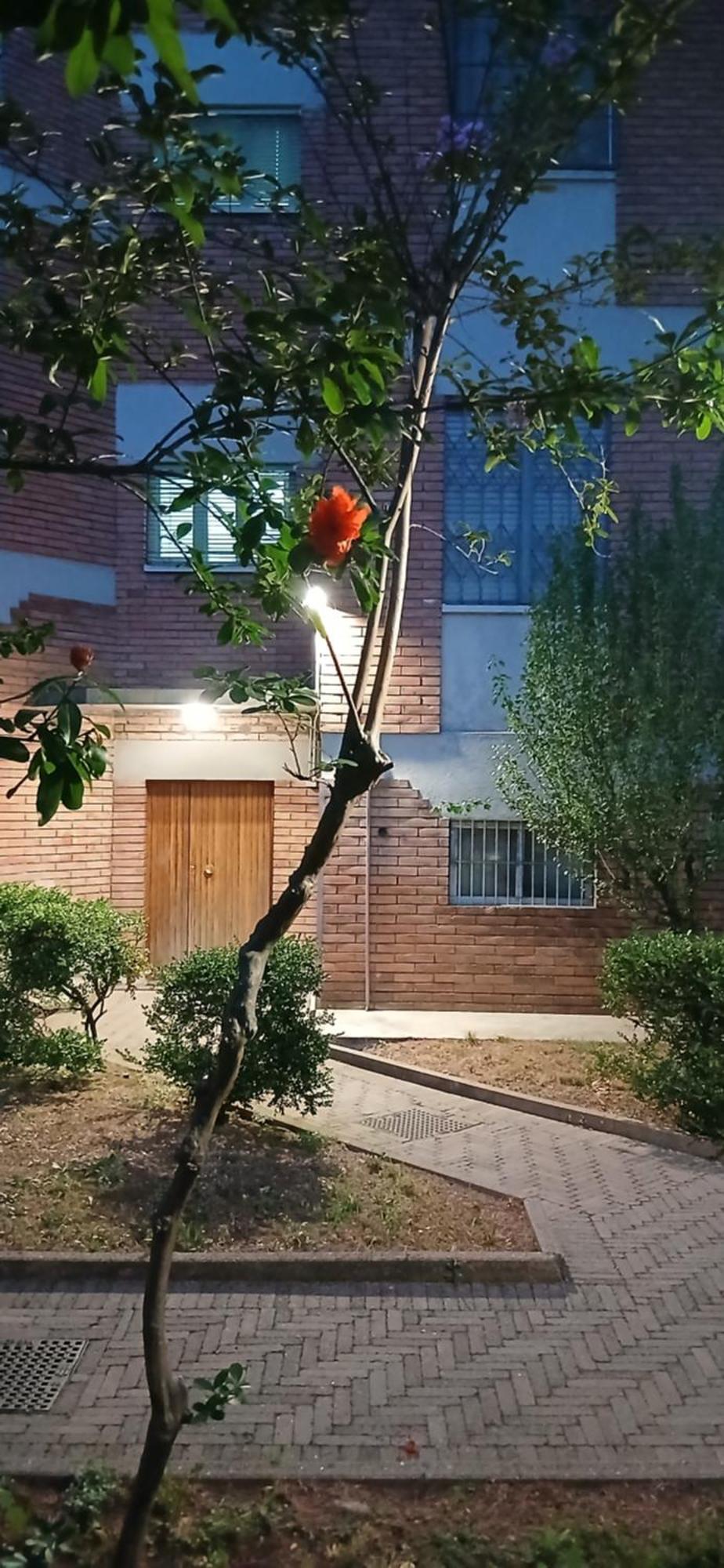 La Casa Di Mari * Bologna