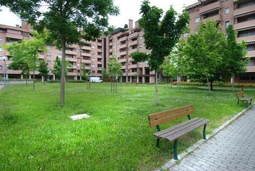 Marco Polo Halldis *