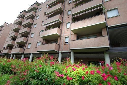 Marco Polo Halldis