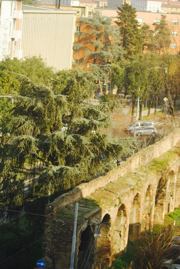 Stayinbologna 3 * Bologna