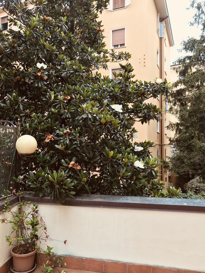 Tl Murri * Bologna