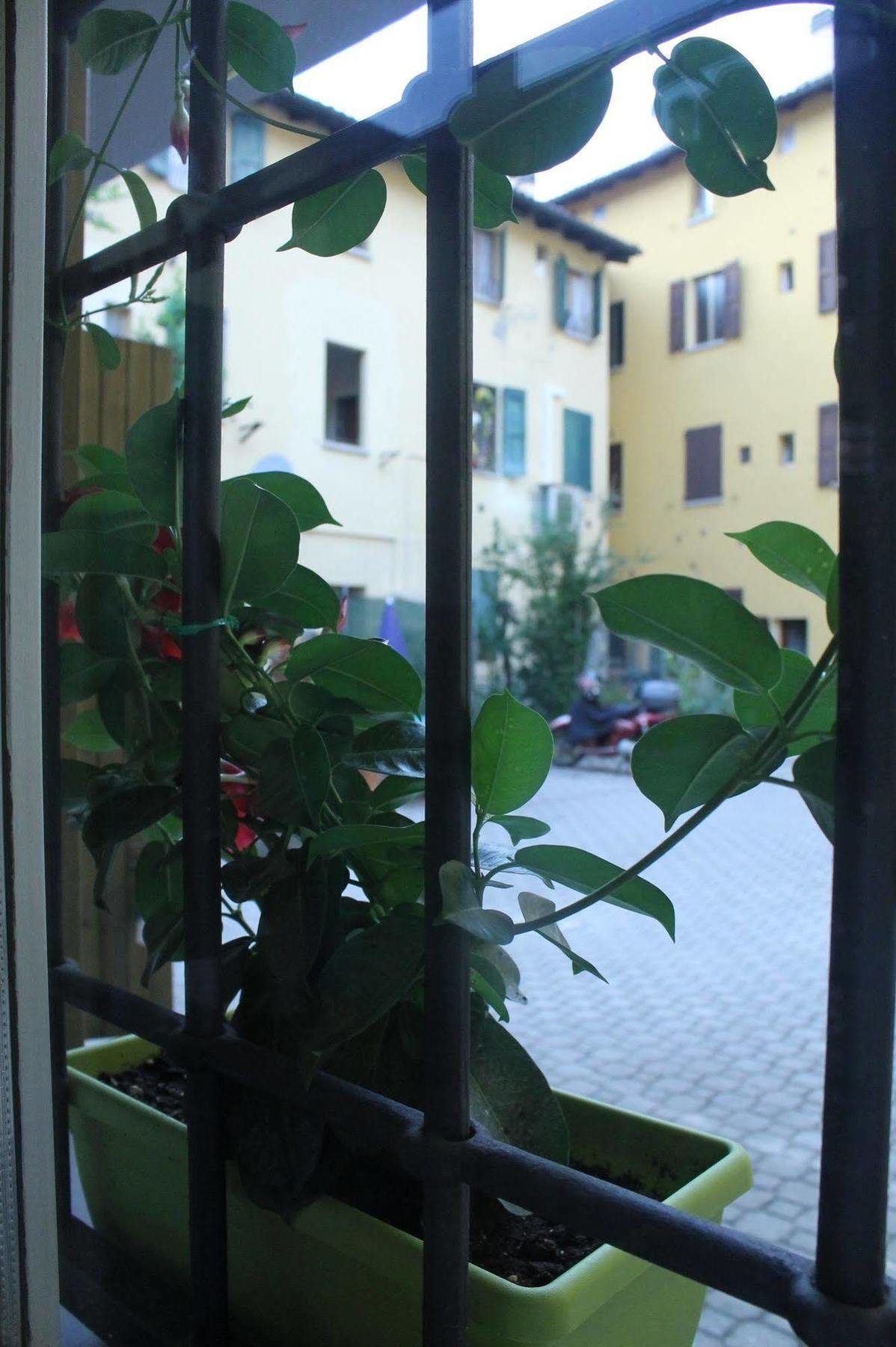 Hotel Il Delfino A 4*