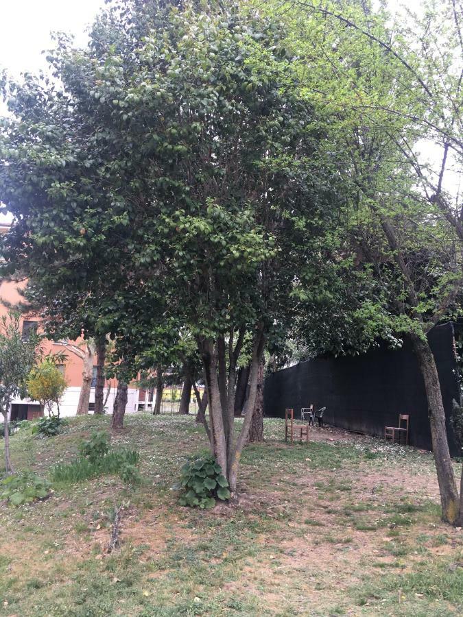 Tra S.orsola E Fiera Appartement Bologna