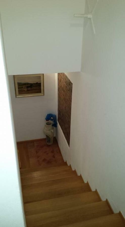 Bed & Breakfast Il Delfino A