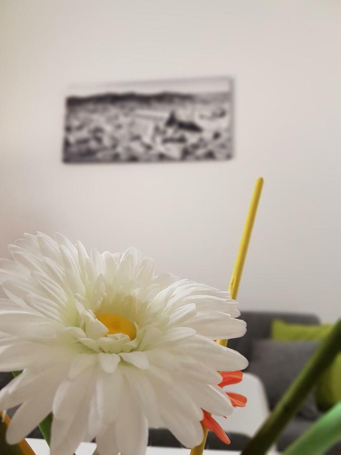Apartment Fico Fiera