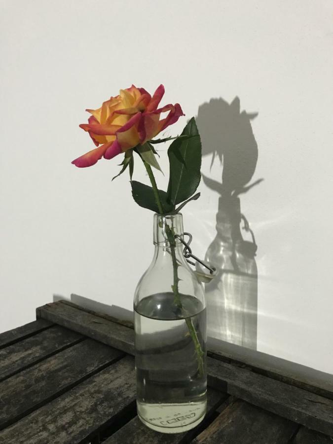 Loft Parisio * Bologna